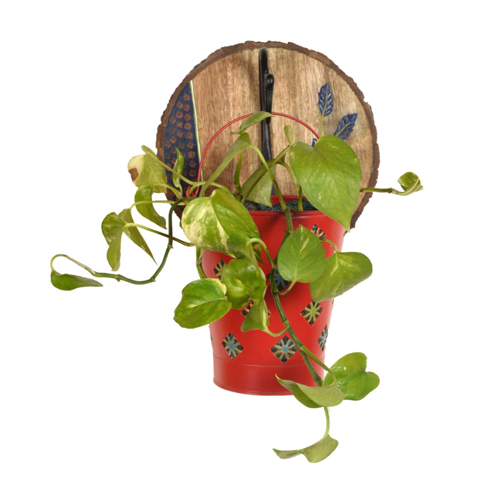 Moorni Red Bucket Metal Planter on a Round Wall Hook